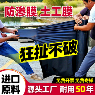 鱼塘防渗膜加厚防水布专用土工膜鱼池护坡布藕池蓄水培殖塑料地膜