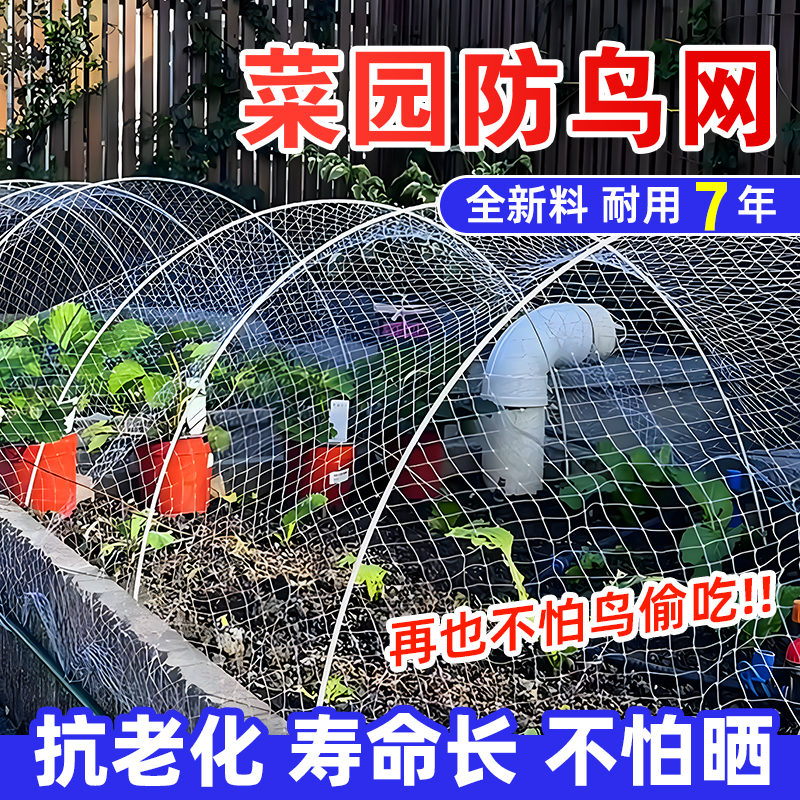 防鸟专用网耐用10年