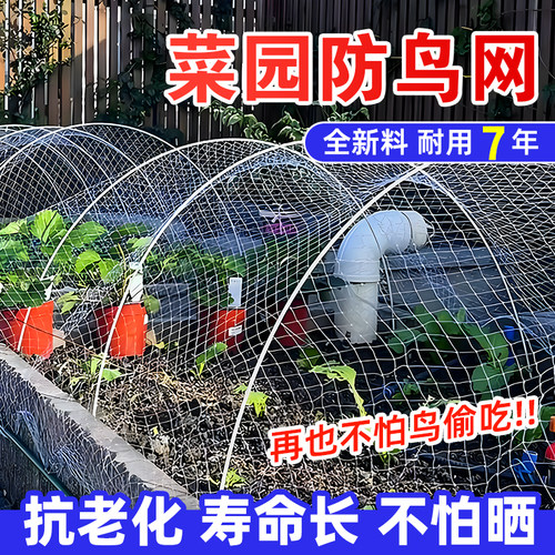 防鸟专用网耐用10年