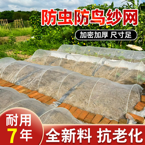 防虫网网纱种菜专用大棚加密加厚农用种植防鸟养殖场纱门80目阳台