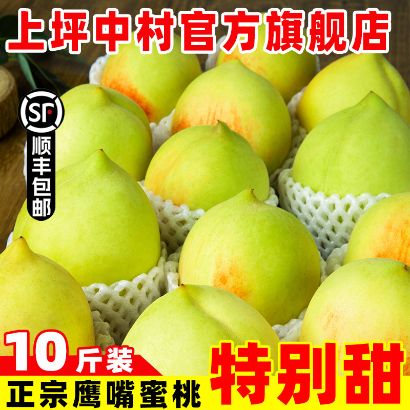 【顺丰快递包邮】正宗广东河源上坪中村鹰嘴蜜桃应季鲜果现摘脆桃