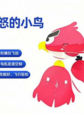 航模愤怒的小鸟儿童遥控飞机魔术板固定翼电动SU27飞机户外玩具