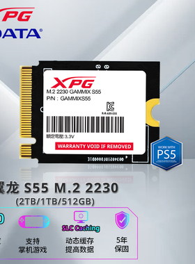 威刚XPG翼龙S55 SSD固态硬盘2230迷你笔记本台式电脑游戏掌机扩容