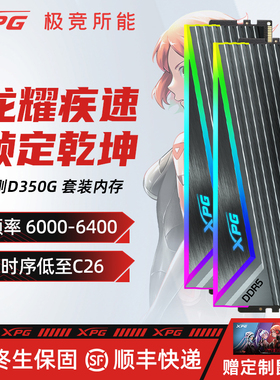 威刚XPG D350G内存条RGB套装灯条DDR5台式电脑用XMP3.0 AMD EXPO