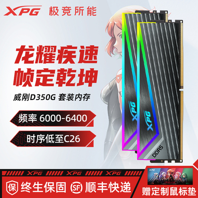 威刚XPGD350G套装灯条