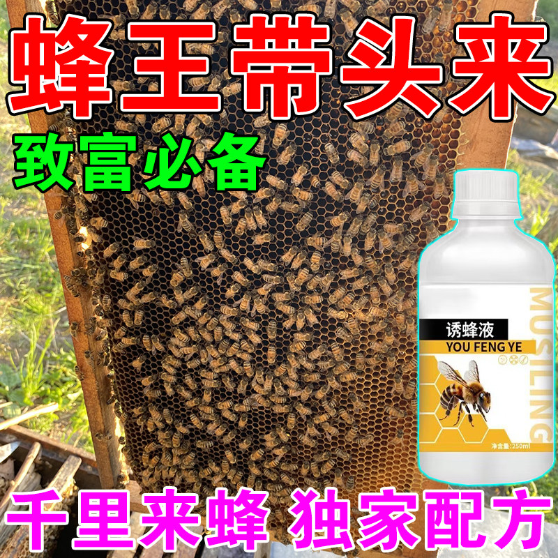 诱蜂神器强效诱蜂液野外用中土蜂专用工具引蜂养蜂神奇招引蜂水液,畜牧/养殖物资,招蜂水/诱蜂蜡,淘宝优惠券,粉丝福利购,淘宝优惠卷