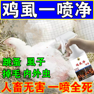 灭鸡虱子药鸡虱净禽用驱虫喷雾养鸡场专用除虱螨跳蚤一喷净杀虫剂