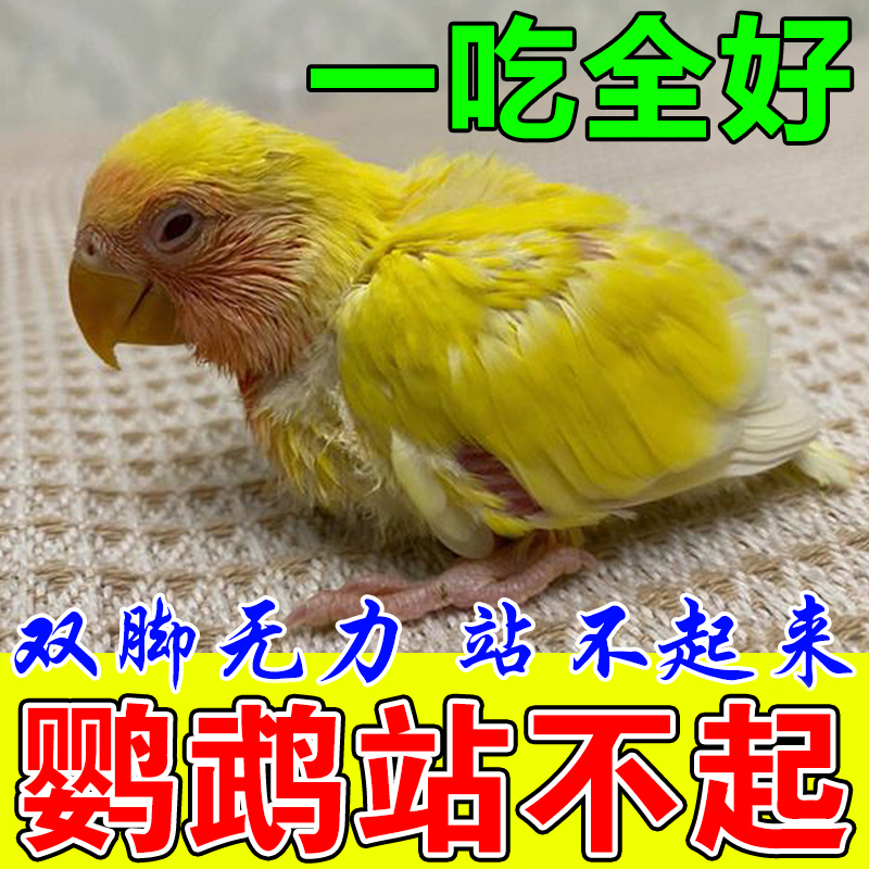 鹦鹉鸟专用瘫药站不起来腿瘸无力炎痪发育不良牡丹玄凤鸽子用