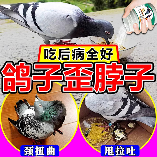 鸽子歪脖子药专用特效扭歪头呼吸道抗沙门氏菌病毒嗉囊炎拉新城稀