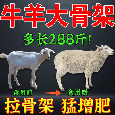 牛羊增肥增重拉大骨架促生长素增肥宝牛羊干瘦光吃不胖解僵健胃