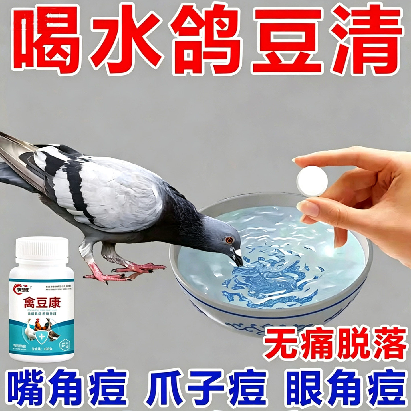 鸽痘鸽子鸽瘤嘴角眼皮爪子翅膀长痘鸽鸡痘灵鸽痘专用特效片治鸽豆