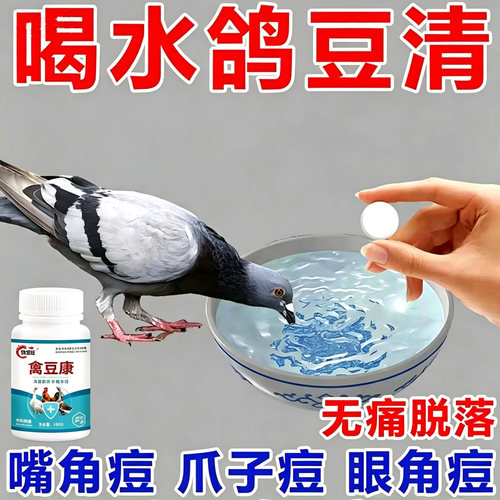 鸽豆鸽子鸽瘤嘴角眼皮爪子翅膀长痘鸽鸡豆灵鸽豆专用特效片治鸽豆
