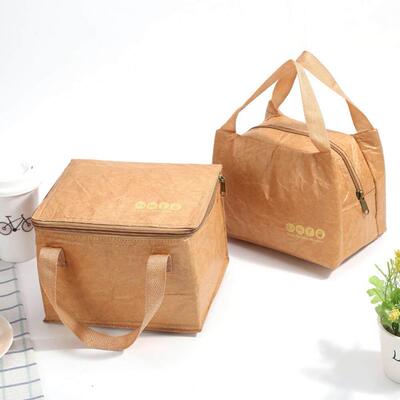 proof Aluminum Picnic Hiking Thermal Insulated Bag Lunch bag