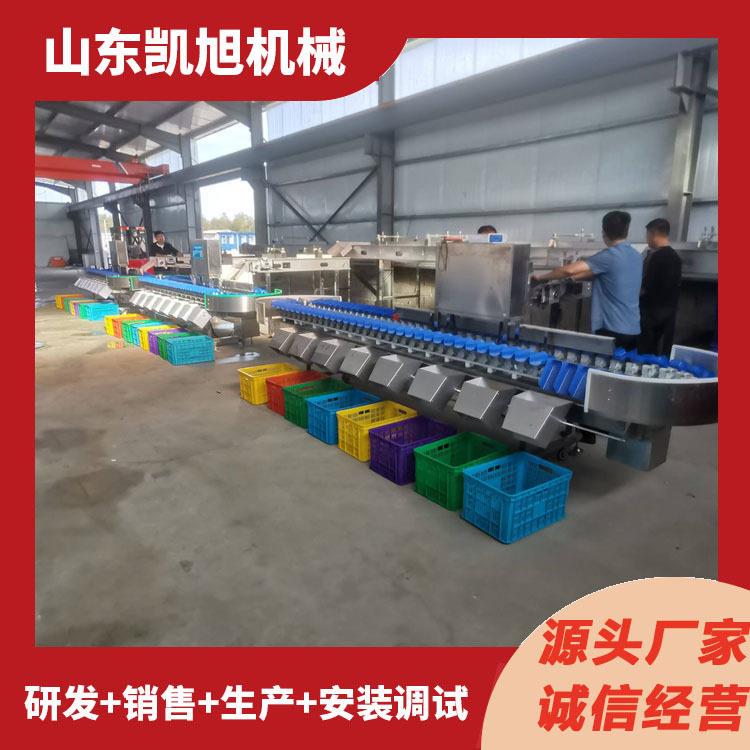 八爪鱼牛蛙全自动称重分选设备 鱿鱼鳕鱼大虾螃蟹重量分级分选机