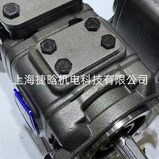 内啮合齿轮油泵 100REW 125 折弯机伺服泵 VG22D