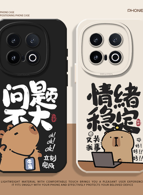 情绪稳定适用iqoo13手机壳12硅胶neo10pro一加13t新款ace5水豚3v卡皮巴拉11情侣9/6t小众oneplus问题不大8/15