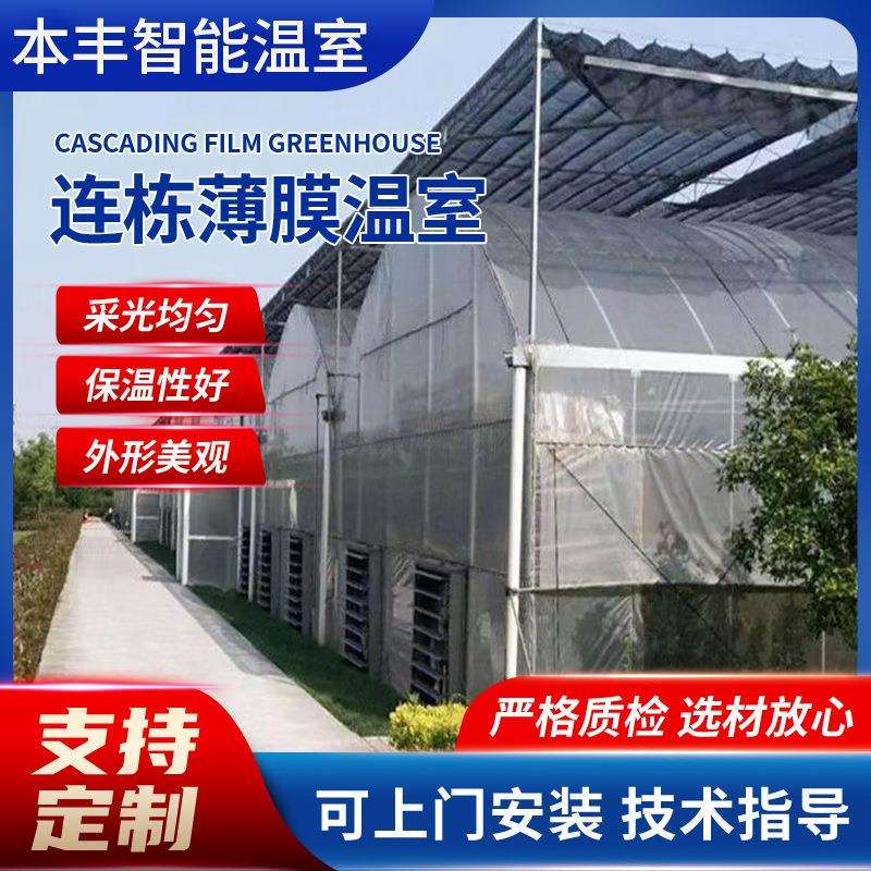 连栋钢管骨架蔬菜大棚花卉养殖圆拱型智能温室连栋薄膜温室大棚