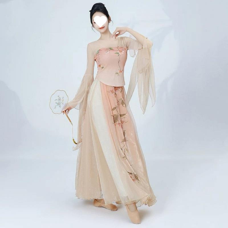 2025新款古典舞蹈服仙气身韵汉唐纱衣飘逸摆裙中国舞练功演出表演