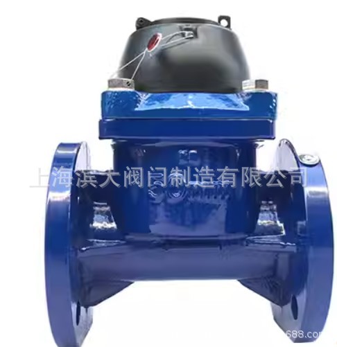 工业污水防冻可拆冷水表DN50