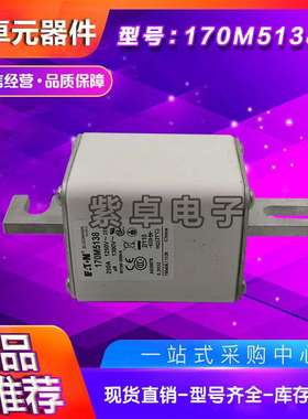 170M5108 170M5109 170M5110 170M5111 170M5112 170M5113熔断器