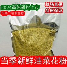 油菜花粉5斤装新鲜天然可食用蜂花粉正品男性前列未破壁青海直采