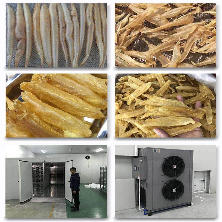 鱼胶烘干鱼胶烘干机组胶成热风TB-ZT-HG循环鱼烘干机空气能鱼胶烘