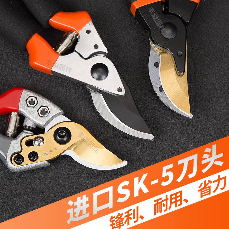 家用进口SK5钢剪果树剪修枝剪粗枝剪园林园艺剪花木葡萄藤盆栽剪