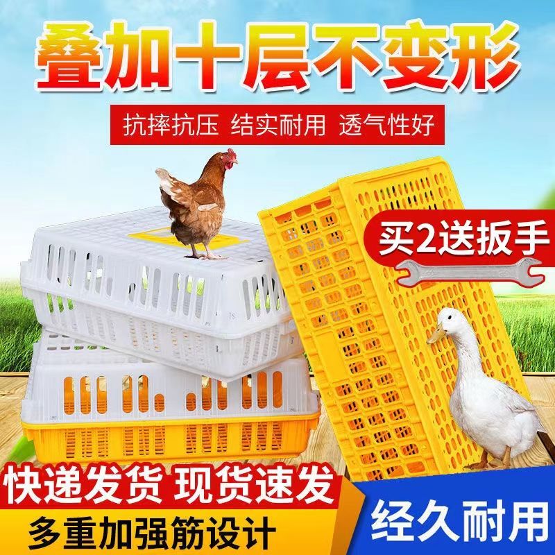 加厚鸡笼周转箱塑料鸡笼子大号家用养殖鸡鸭鹅笼方形运输框周转筐
