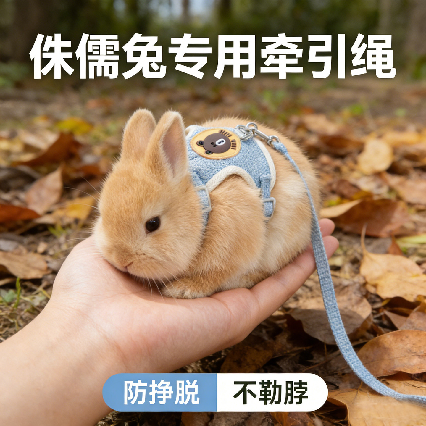 荷兰猪牵引绳兔子防挣脱背心式可调节仓鼠外出小宠用品大全溜兔绳