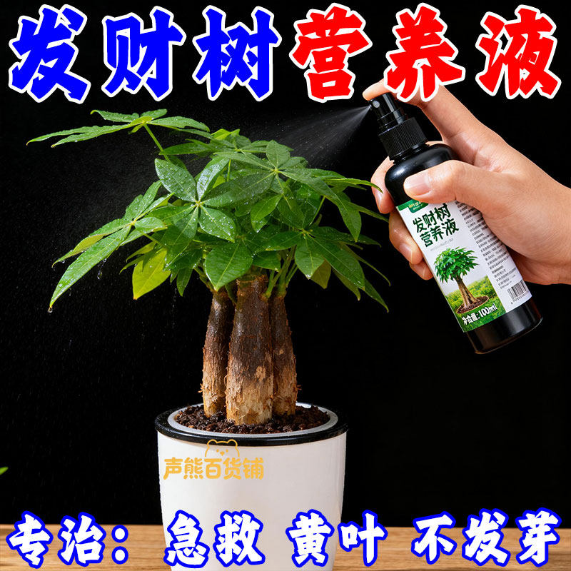 【正品】发财树专用营养液治黄叶生根家用室内通用型绿植盆栽肥料