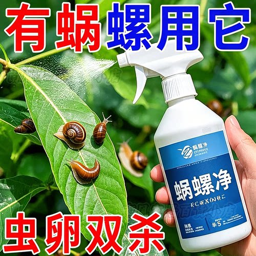 蜗螺净庭院蜗牛鼻涕虫果树蛞蝓