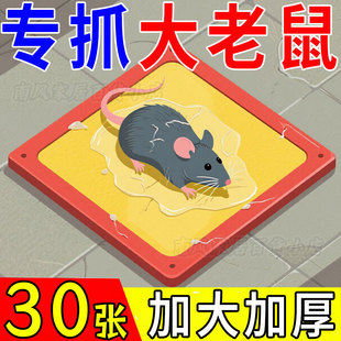 粘鼠板老鼠粘强力胶粘大老鼠克星捕黏鼠神器贴超强家用扑捉器正品