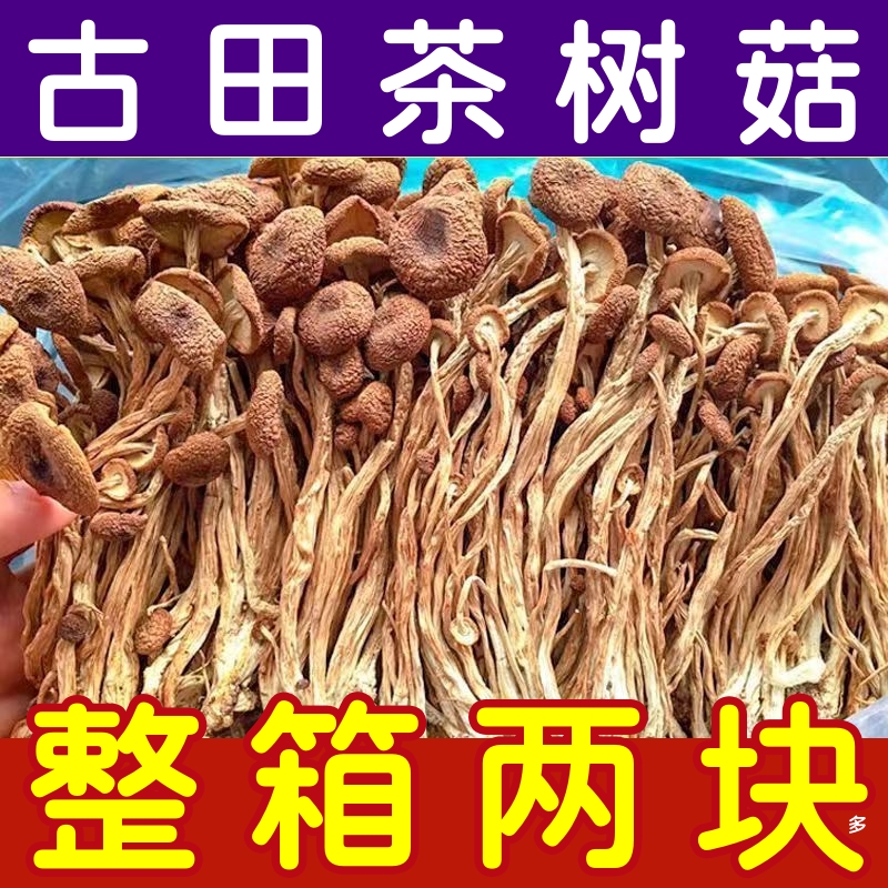 500g新鲜农家茶树菇干货不开伞茶...