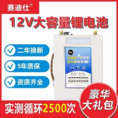 12V伏大容量聚合物动力锂电池蓄电池锂电瓶铝电瓶套装80安100A120