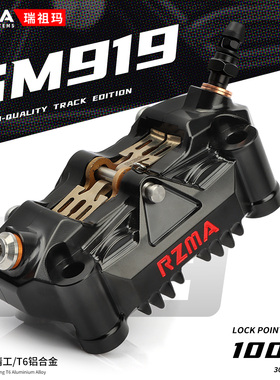 瑞祖玛G-M919大辐射卡钳九号F90小牛FX/FXT电动电摩改装极核AE4SE