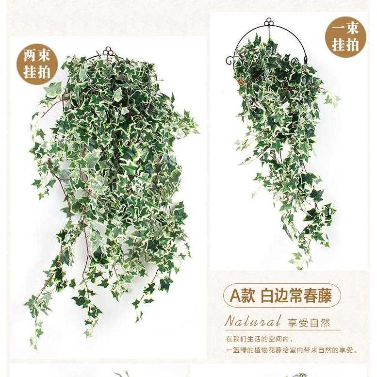 新款直销翰茜仿真绿萝藤条仿真植物墙配材档壁挂仿真藤蔓常春叶子