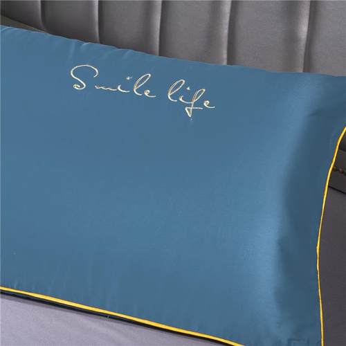 新款直销60S全棉双人枕套轻奢风绣花款1.2m枕头套150cm不含芯长枕