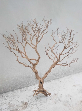新款直销白色干枯树枝干枝许愿树枯树干霸王根造型树假树仿真树枝