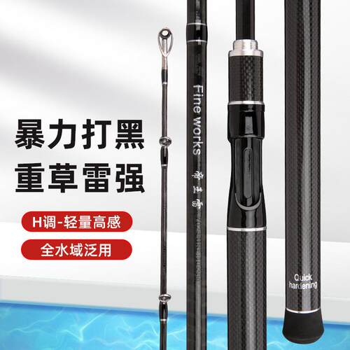 新款直销跨境碳素雷强竿超轻H调远投海钓竿 雷强鱼竿打黑超硬路亚