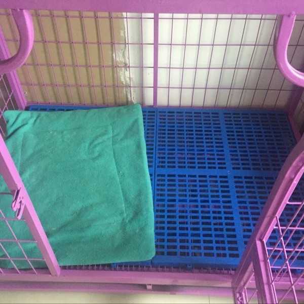 新款直销狗笼专用塑料优质垫板狗笼脚垫板宠物网格垫散热板大中小