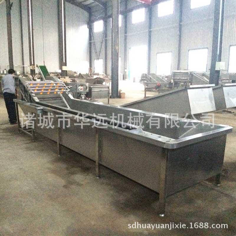 供应不锈钢白菜叶气泡清洗机 专业洗菜机 全自动果蔬清洗厂家