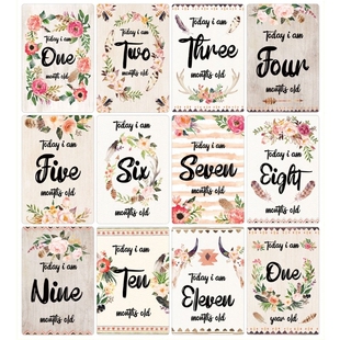 12 Sheet Baby Milestone Cards Newborn Monthly Memorial Grow