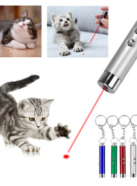 4mW Keychain Laser Pointer 2 In 1 Light Lazer Red Laser Laze