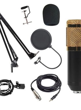 Bm800 Condenser Microphone Host Computer Recording Stand La