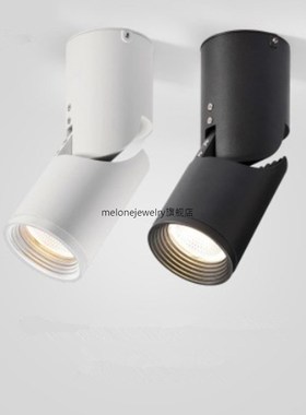 Dimmable Rotating LED Downlights 9W12W15W COB LED Ceiling Sp