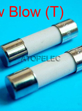 10pcs 5x20mm Ceramic Fuse 5mm x 20mm Slow Blow T  2A/3.15A/4