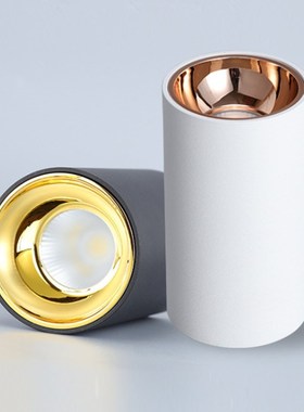 New Arrival Surface Mounted COB Downlight LED 5W 7W 10W 12W