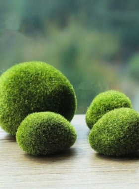 2016 hot sales new aquaum  suspension grass stones moss