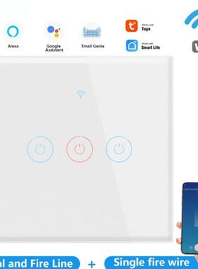 WiFi Smart Light Touch Switch Smart Life/Tuya App Control Al