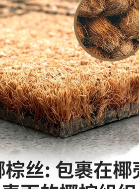 In and out of the carpet floor MATS in coconut door mat